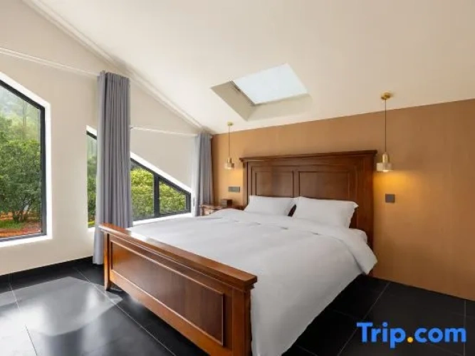 Standard Twin Family room