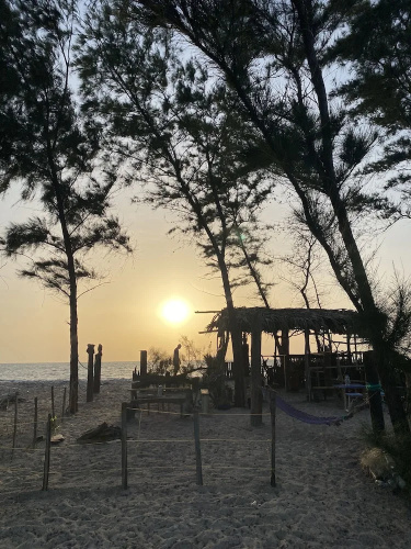 Palmarina sunset