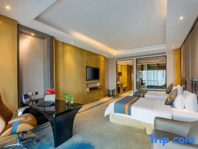 Executive Twin room with city view