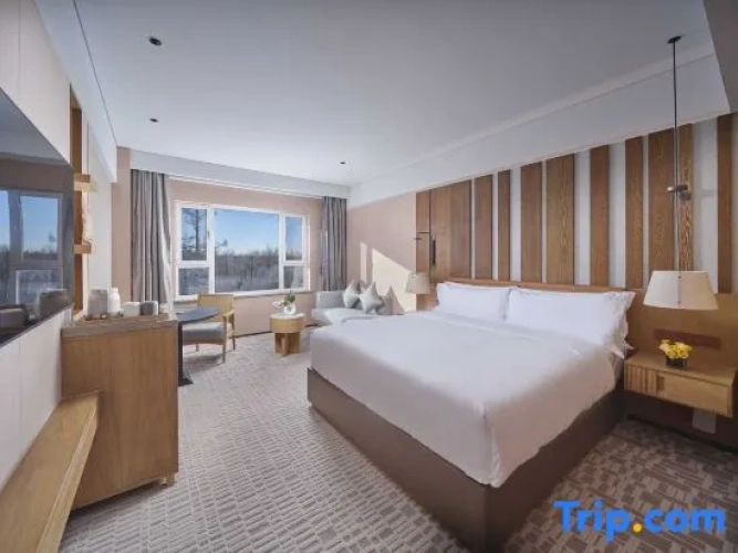 Double Junior Suite