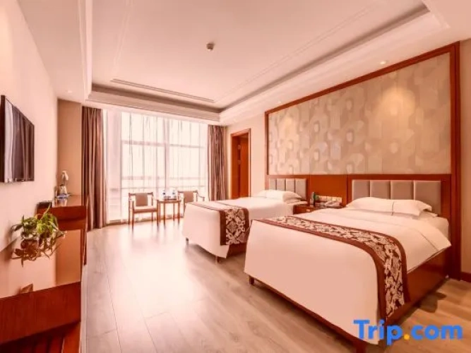 Executive Triple Suite