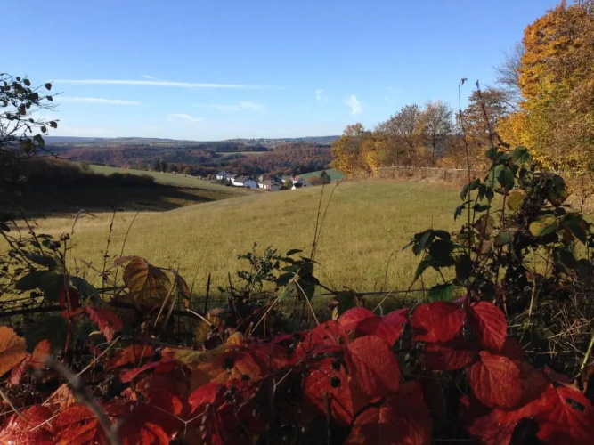 Fewo Vulkaneifel