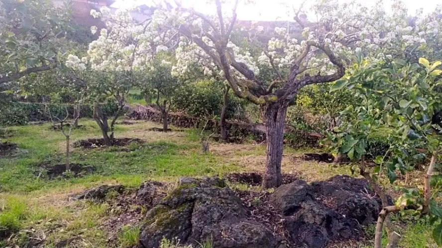 Il Giardino di Galatea