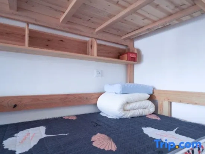 Bed in Dorm