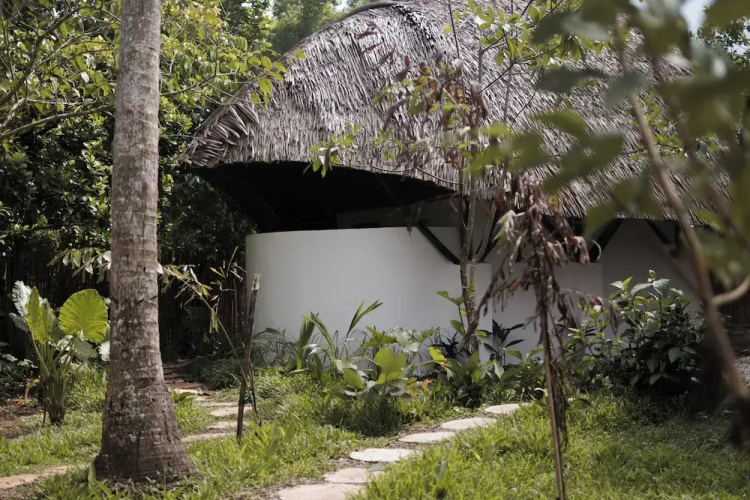 Bamboo Jungle Villas