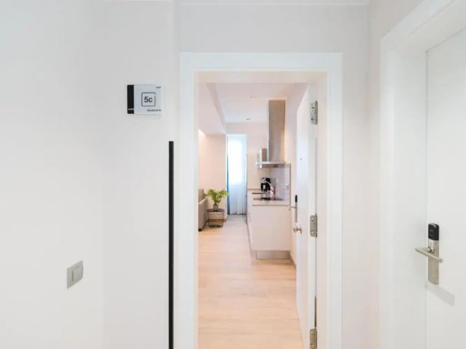 Deluxe Apartment