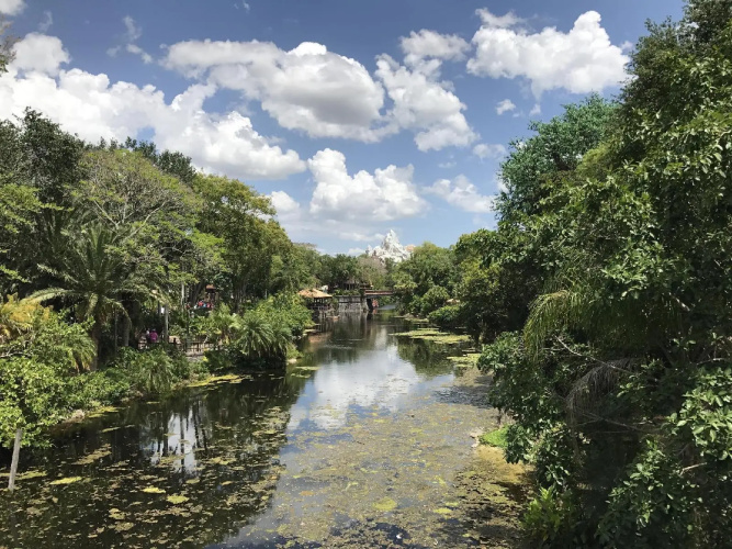 Florida Travel Network