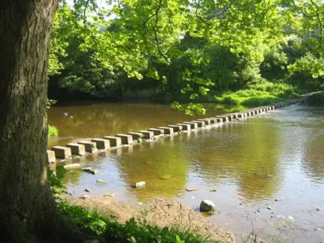 Stepping Stones (Adults Only)