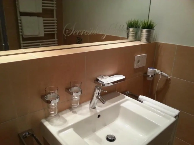 1 Bedroom Apartment with lake view