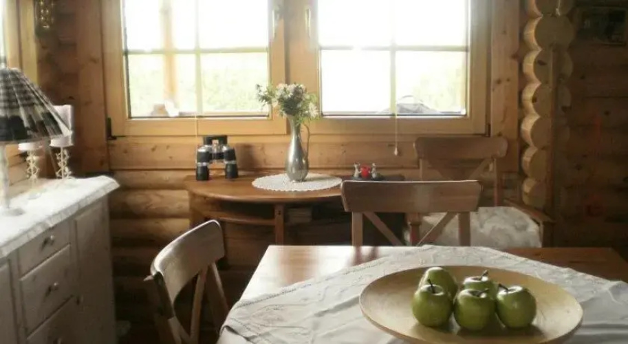 Log Cabin at White River