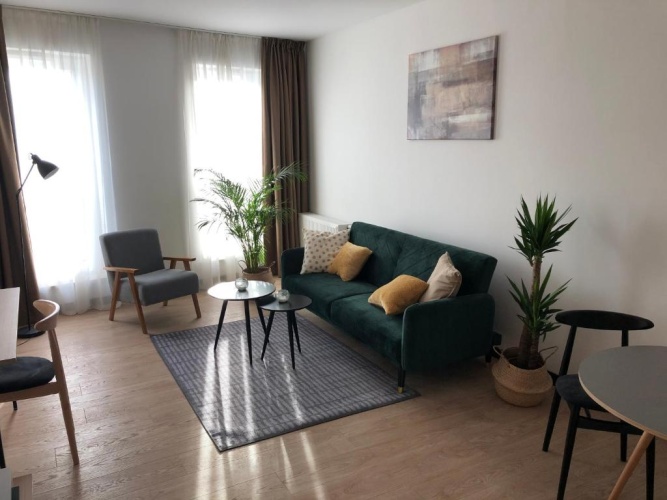 1 Bedroom Suite