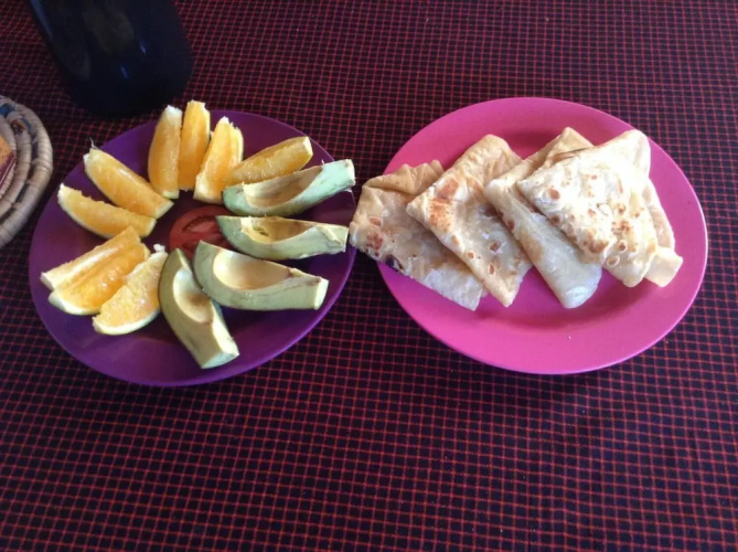 African wagtail hostel