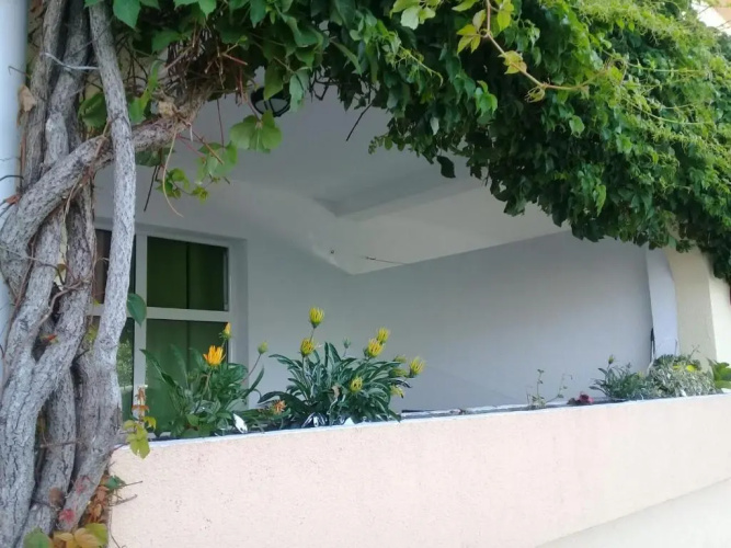 Montenegrina Apartment