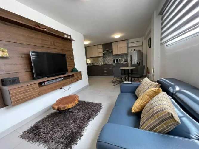 1 Bedroom Apartment