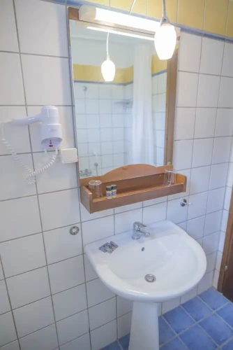 Economy Double room with balcony and with garden view