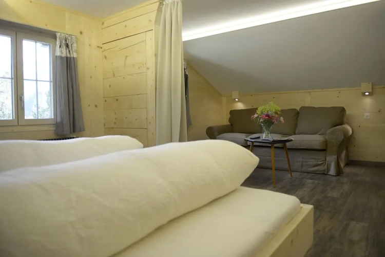Deluxe Double room with mountain view