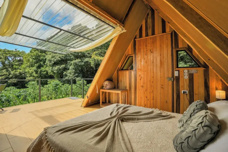 Tityra Lodge