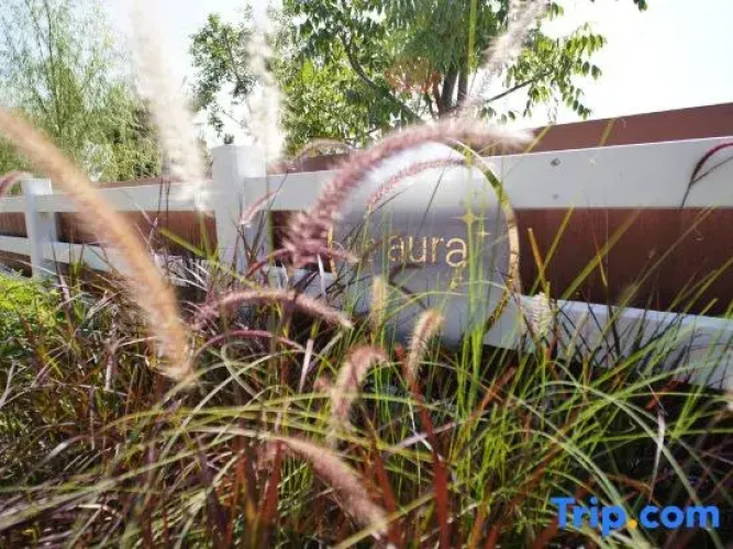 The Aura Pranburi