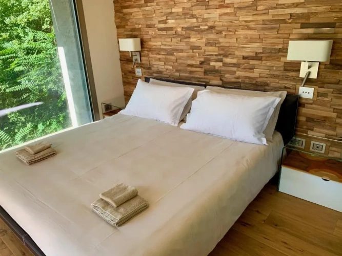 Standard Double room with mountain view