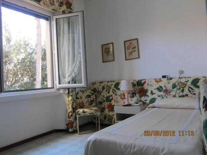 Standard Single room with view