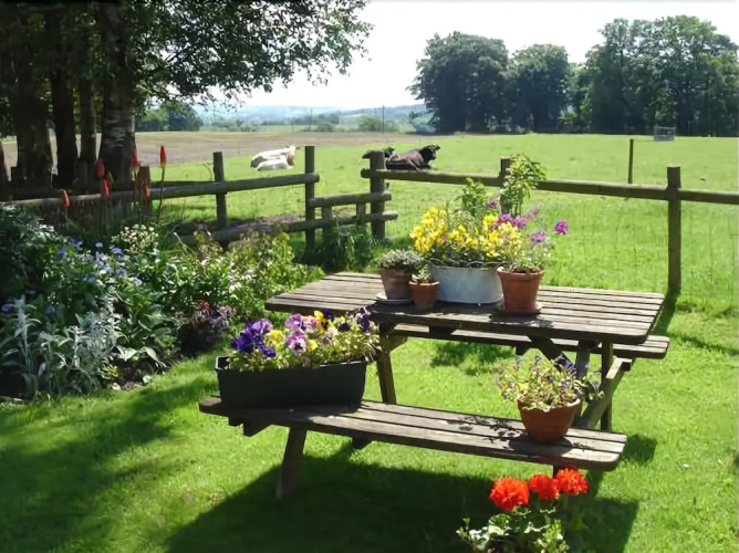 Yew Tree Farm