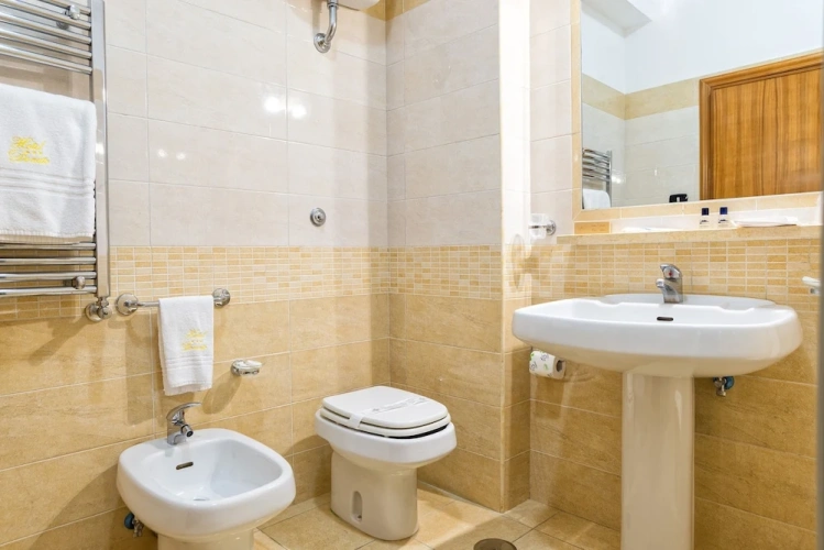 Deluxe Double room with balcony