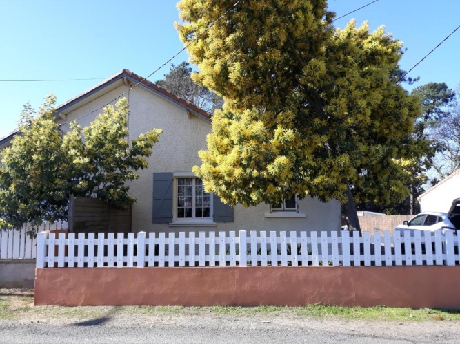 Cottage