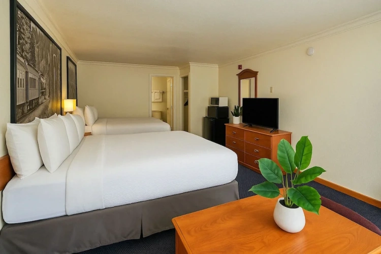 Deluxe Double room