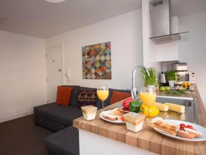 1 Bedroom Apartment
