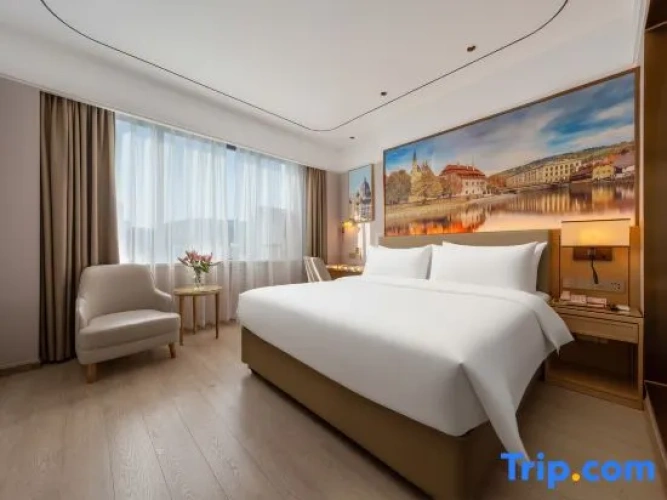 Standard Double room with lake view