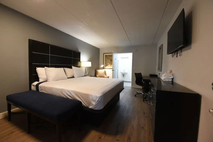 Economy Suite