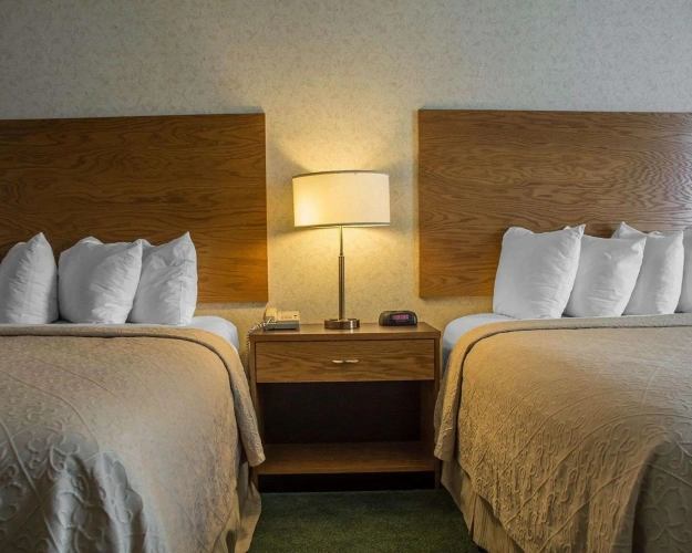 Business Quadruple Suite