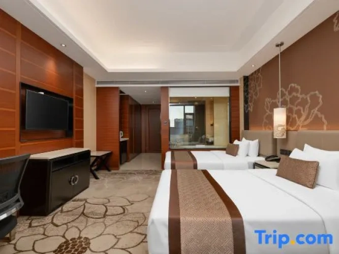 Executive Twin room