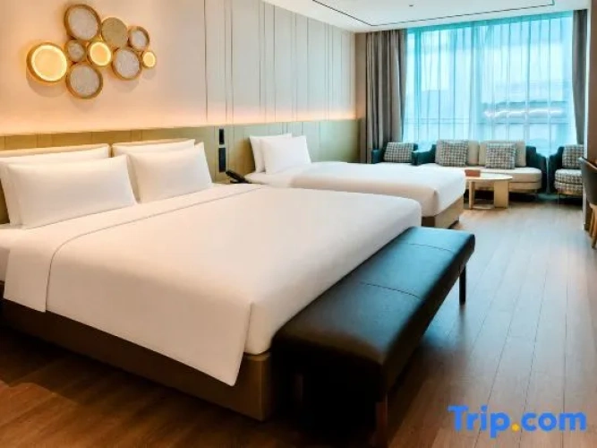 Twin Suite