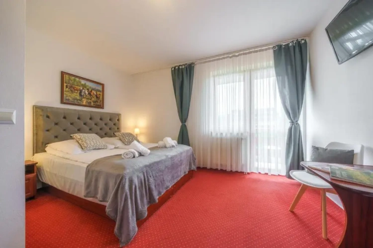 Standard Double room with balcony and with mountain view