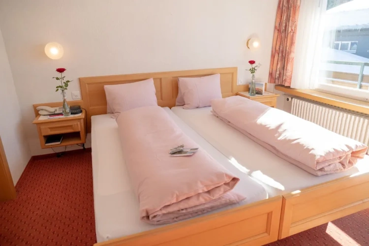 Economy Double room with mountain view