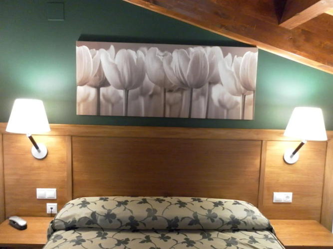 Hotel Milagros Rio Riaza
