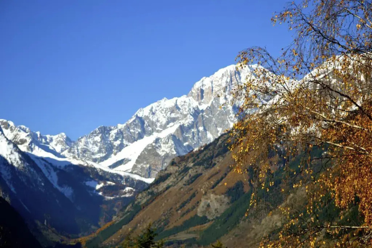 Hotel Walser Courmayeur