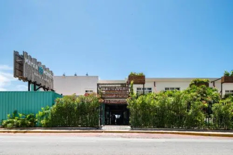 Señor Frogs Hostel - Adults Only