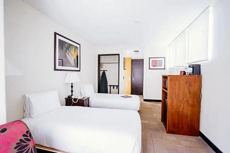 Standard Double room with view