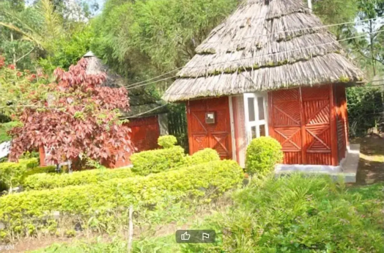 Jt Cottages