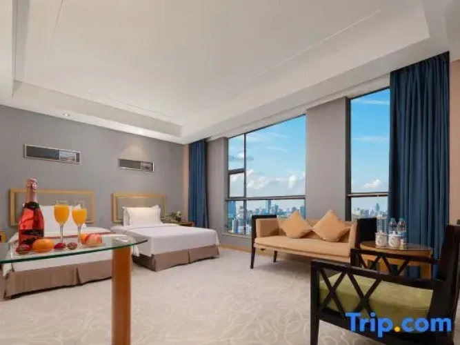 Standard Twin room with city view