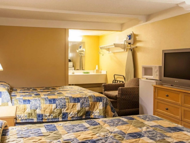 Standard Quadruple room