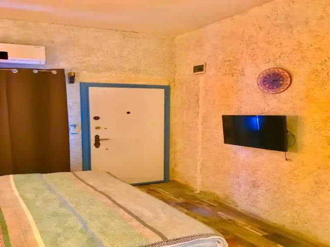 Standard Double room with balcony and with garden view