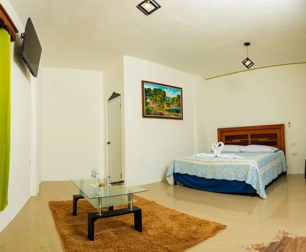 Deluxe Double room with pool view