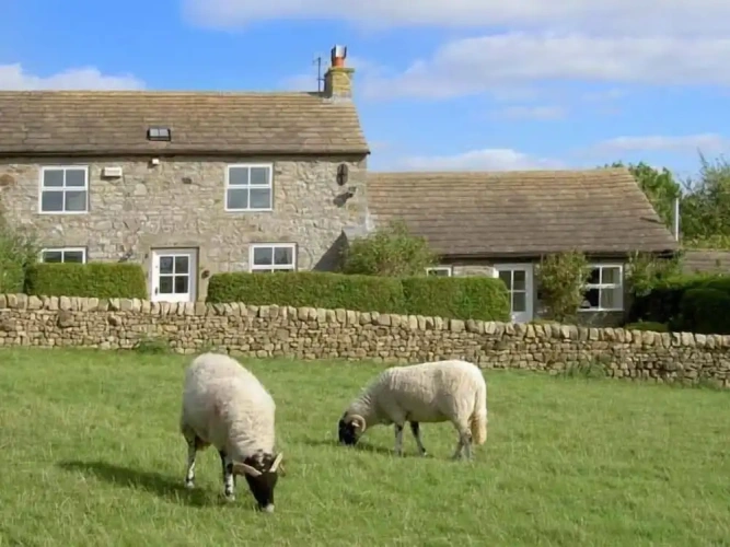 Cottage