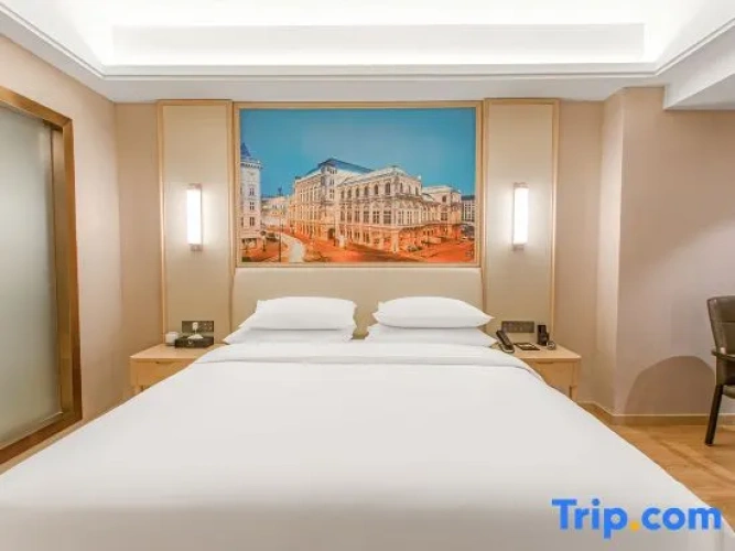 1 Bedroom Suite