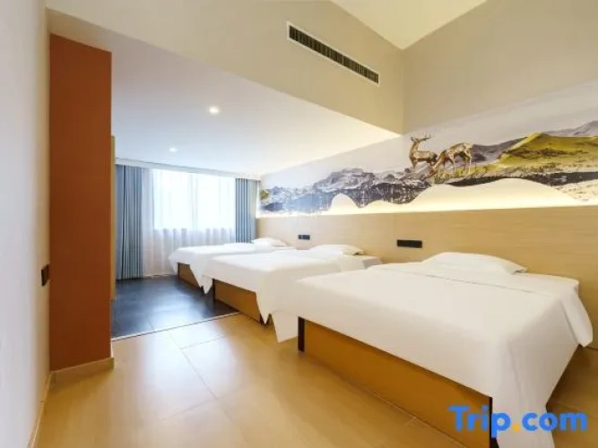 Triple Suite