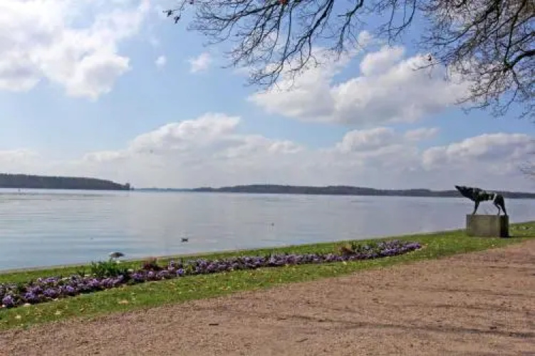 Stadtvilla an der Mueritz SEE 8970