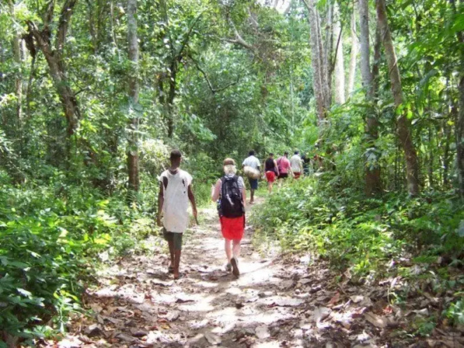 Nalesutale Village Lodges